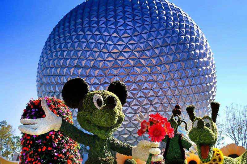 Walt Disney World Com Data Predeterminada