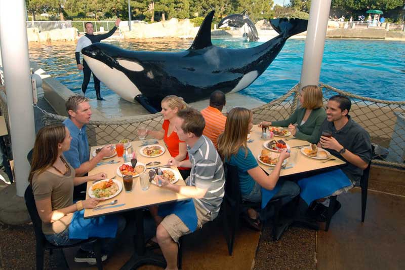 Refeição com Orcas